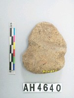 藏品(小砝碼型石網墜)的圖片